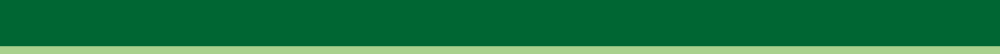 Green page header bar